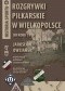 Rozgrywki piłkarskie w Wielkopolsce do roku 1919: Historia sportu tom 4