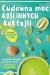 Cudowna moc roślinnych koktajli. Blenduj dla zdrowia i urody!