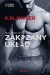 Zakazany układ