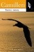Taniec mewy