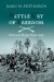 Battle Cry of Freedom. Historia wojny secesyjnej