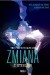 Zmiana