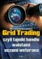 Grid Trading. czyli tajniki handlu walutami oczami weterana