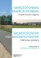 Mikrotoponimia i makrotoponimia. Problematyka wstępna. Microtoponymy and Macrotoponymy. Preliminary Problems