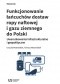 Funkcjonowanie łańcuchów dostaw ropy naftowej i gazu ziemnego do Polski. Uwarunkowania infrastrukturalne i geopolityczne