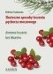 Skuteczne sposoby leczenia pęcherza moczowego. Domowe leczenie bez lekarstw