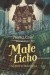 Małe Licho i tajemnica Niebożątka