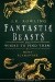 Fantastic beasts and where to find them