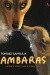 Ambaras