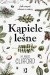 Kąpiele leśne. Jak czerpać zdrowie z natury