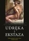 Udręka i ekstaza. Piękna opowieść o życiu i sztuce Michała Anioła
