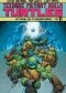 Teenage Mutant Ninja Turtles Vol.11- Attack On Technodrome
