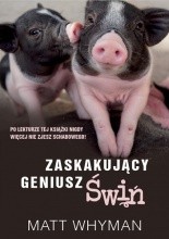 Zaskakujący geniusz świń - Jacek Skowroński