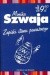 Zapiski stanu poważnego