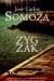 Zygzak