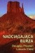 Nadciągająca burza