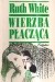 Wierzba płacząca