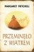 Przeminęło z wiatrem