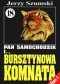 Pan Samochodzik i bursztynowa komnata Tom 1 - Wilczyca z jantaru