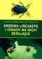 Drzewa liściaste i owady na nich żerujące