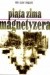 Piąta zima magnetyzera