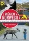 Z Miśkiem w Norwegii. Jak łatwo i tanio podróżować z dzieckiem po świecie