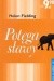 Potęga sławy