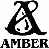 Wydawnictwo Amber