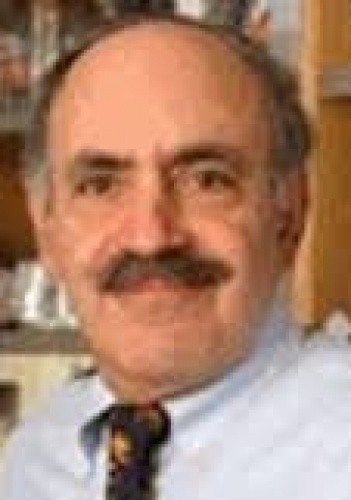 Robert A. Weinberg