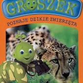Okładka książki Groszek poznaje dzikie zwierzęta Anna Sójka