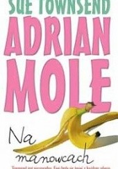 Okładka książki Adrian Mole. Na manowcach Sue Townsend