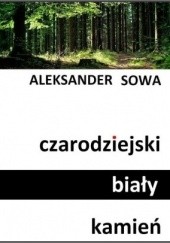 Okładka książki Czarodziejski biały kamień Aleksander Sowa