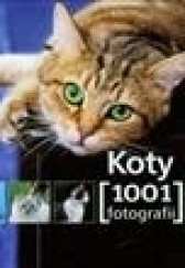 Okładka książki Koty. 1001 fotografii praca zbiorowa