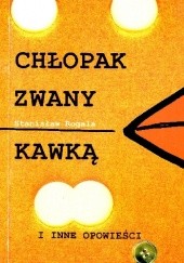 Okładka książki Chłopak zwany Kawką i inne opowieści Stanisław Rogala