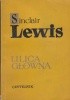 Okładka książki Ulica Główna Sinclair Lewis