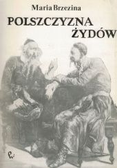 Okładka książki Polszczyzna Żydów Maria Brzezina