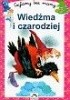 Okładka książki Wiedźma i czarodziej Ann Rocard