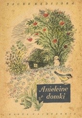 Okładka książki Anielcine domki Jacek Kędziora