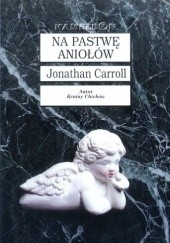Okładka książki Na pastwę aniołów Jonathan Carroll