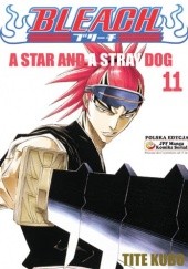 Bleach 11. A Star and a Stray Dog