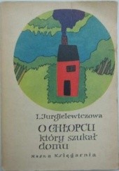 Okładka książki O chłopcu, który szukał domu Irena Jurgielewiczowa