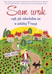 Okładka książki Sam urok, czyli jak zakochałam się w sielskiej Francji Karen Wheeler