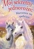 Okładka książki Marzenia się spełniają Linda Chapman