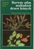 Okładka książki Barwny atlas uszkodzeń drzew leśnych : diagnozowanie chorób drzew Heinz Butin,&nbsp;Gunter Hartmann,&nbsp;Franz Nienhaus
