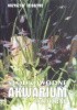 Okładka książki Słodkowodne akwarium ozdobne Krzysztof Teisseyre