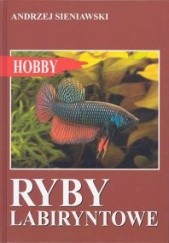 Okładka książki Ryby labiryntowe Andrzej Sieniawski