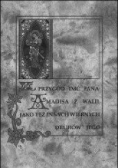 Okładka książki Z przygód imć Pana Amadisa z Walii, jako też innych wiernych druhów jego autor nieznany