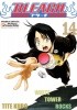 Bleach 14. White Tower Rocks