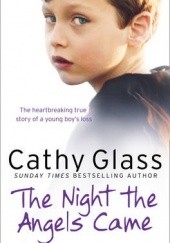 Okładka książki The Night the Angels Came Cathy Glass