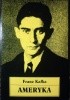 Ameryka